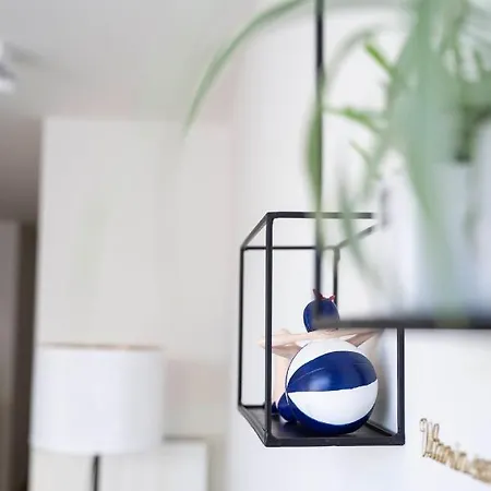 Carpe Diem Noguchi 201- Adults Only